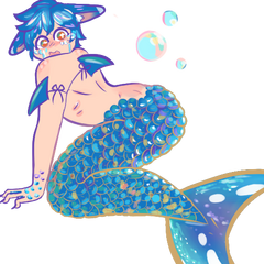 Mermaid (mussy)